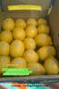 fresh limon