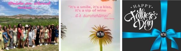 Bliss Wine Tours