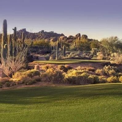Elite Home Team AZ