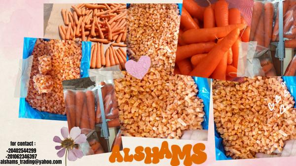 fresh_carrot