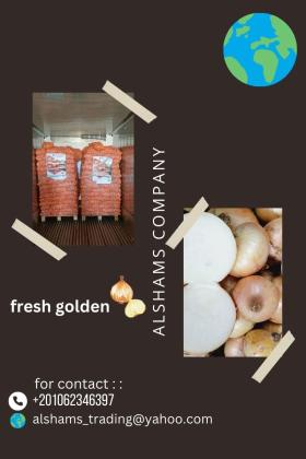 fresh_onion