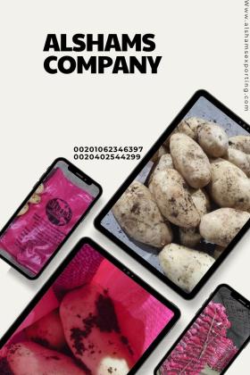 fresh_Potatoes
