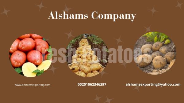 fresh_Potatoes