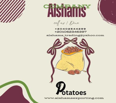 fresh_Potatoes