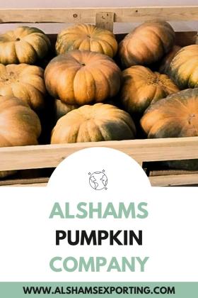 #Pumpkin