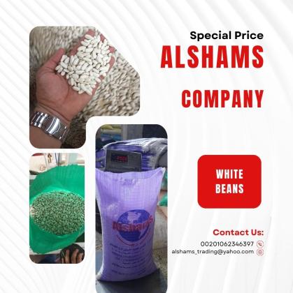white beans