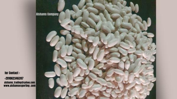 white beans