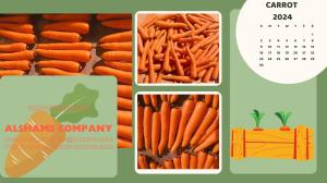 fresh_carrot