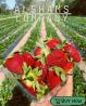 fresh_strawberry