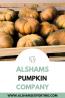 #Pumpkin
