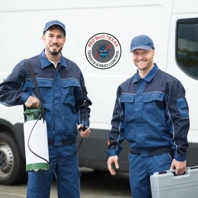 Bed Bug Texas Termite & Pest Control