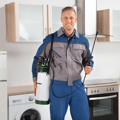 Bed Bug Texas Termite & Pest Control